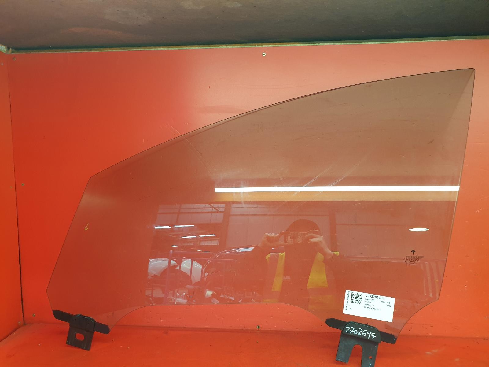 LR Door Window Model X Tesla 2017