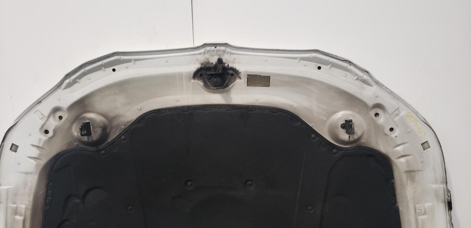 Bonnet 5 Series Bmw 2009