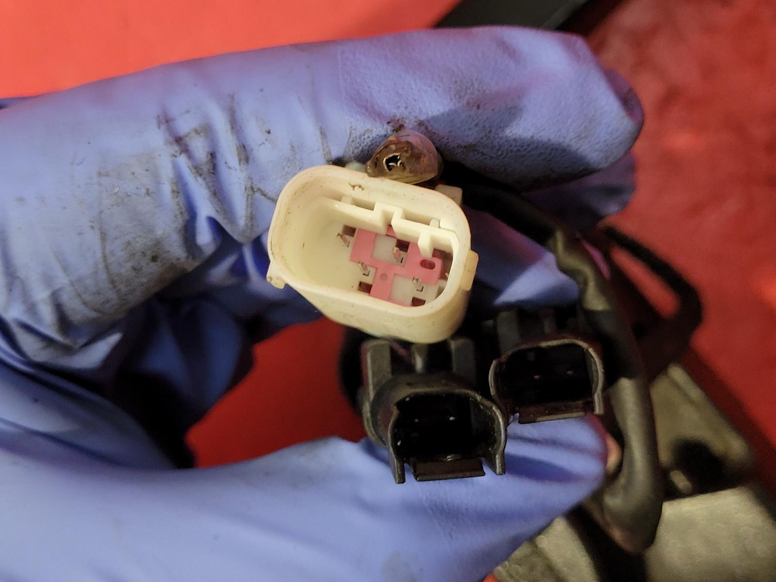 Rear Subframe S1000r Bmw 2016 