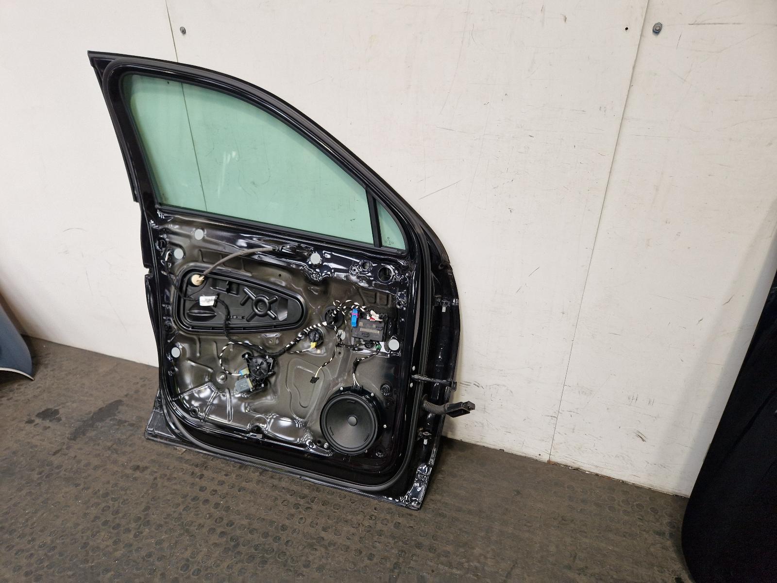 L Front Door Tiguan Volkswagen 2021