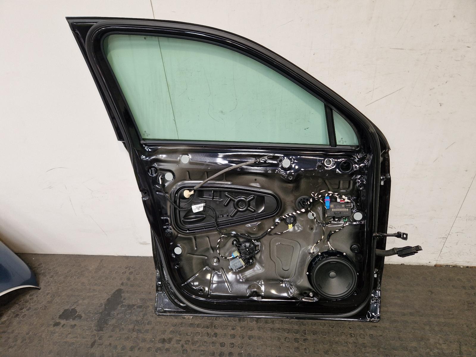 L Front Door Tiguan Volkswagen 2021