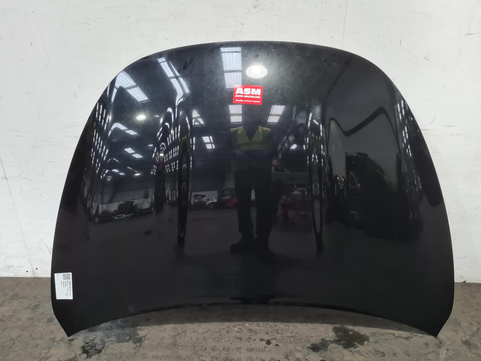 View Auto part Bonnet Gwm Ora Funky Cat 2023