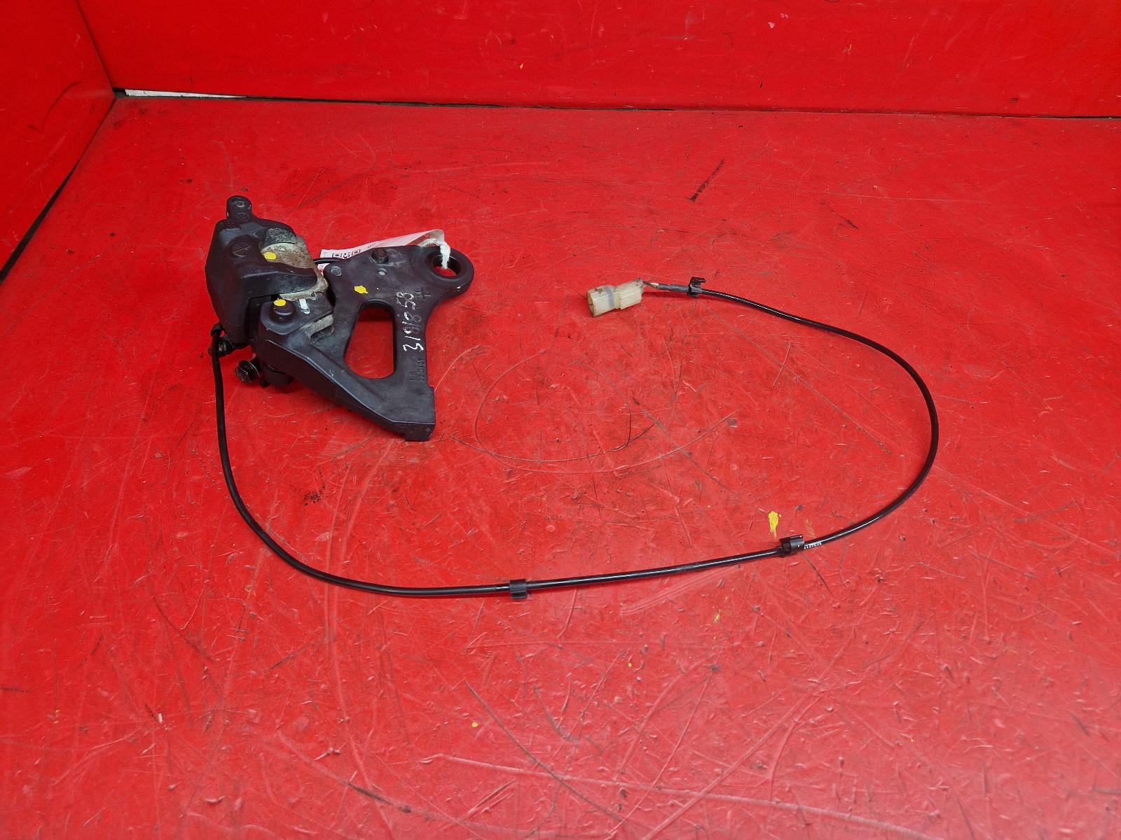 View Auto part Caliper Triumph Tiger 900 Rally Pro 2023