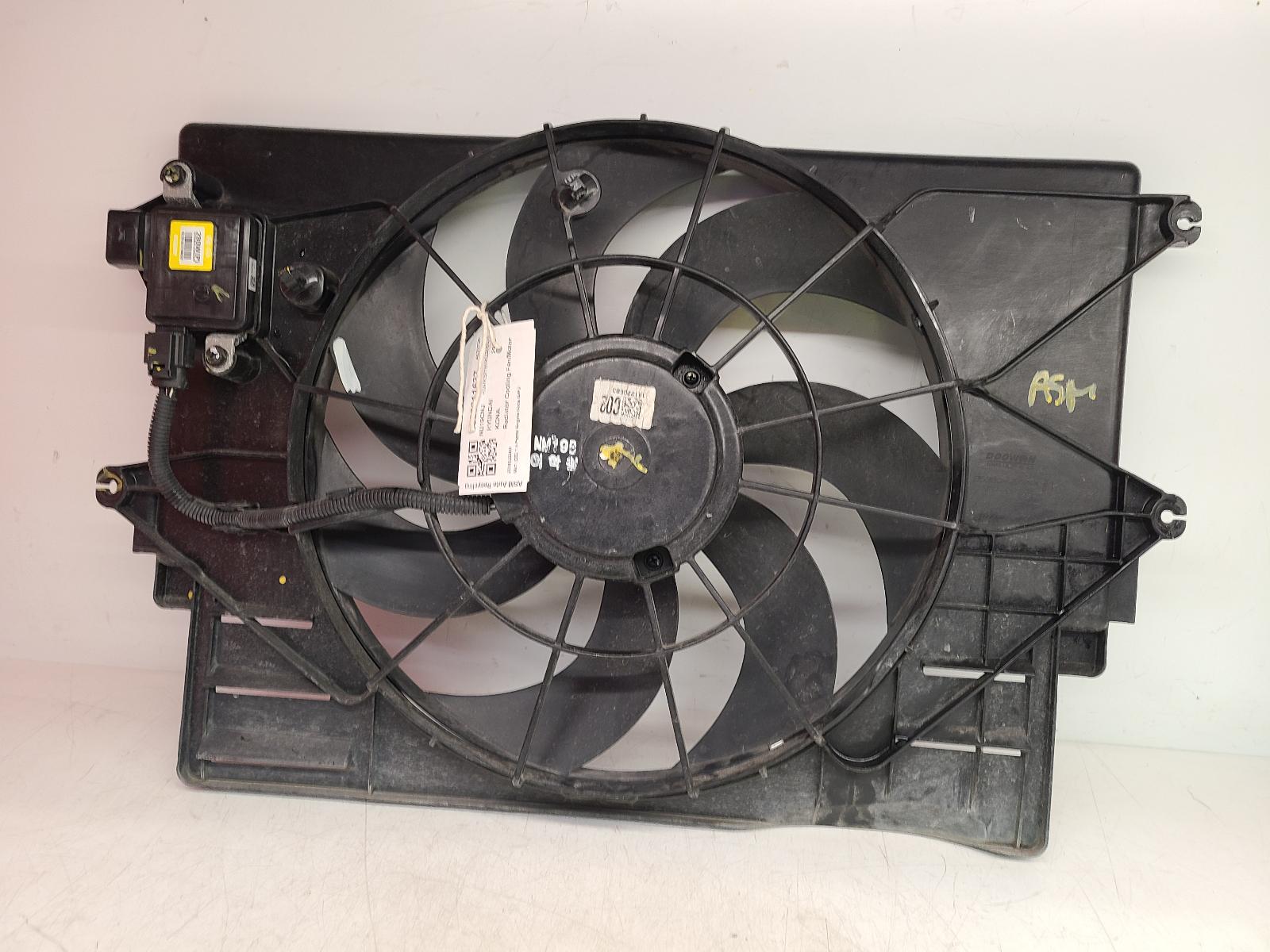 View Auto part Engine Cooling Motor Hyundai Kona 2019