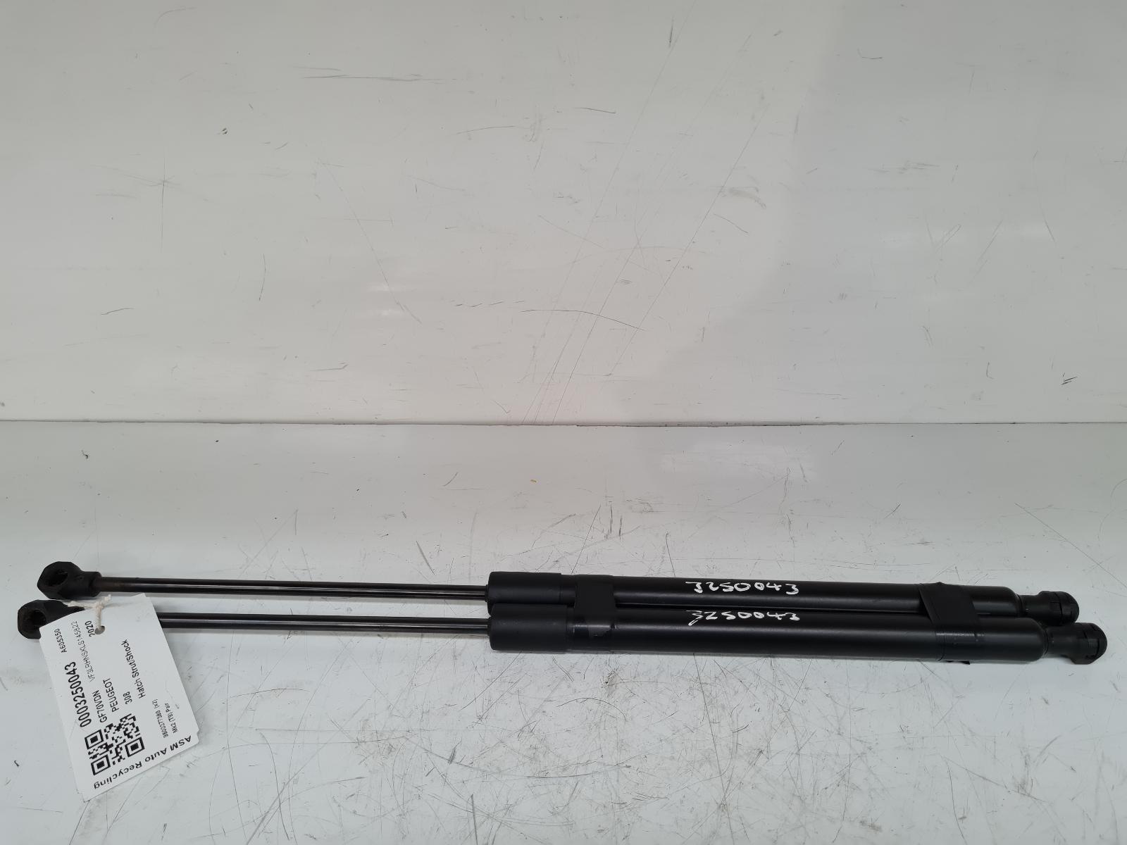 View Auto part Hatch Strut/Shock Peugeot 308 2020