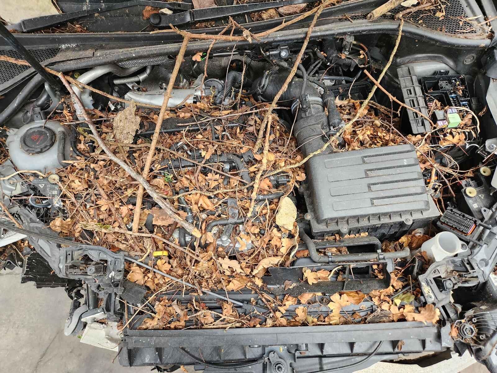 View Auto part Audi Q3 2019 5 Door Estate Breaking